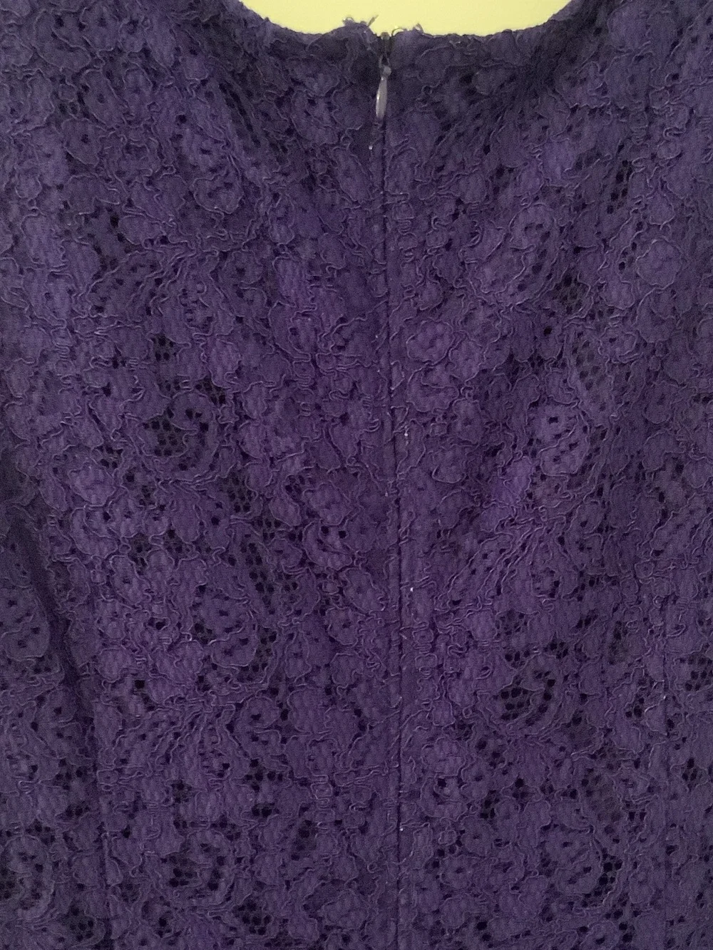 Liz Claiborne Purple Lace Midi Sheath Dress